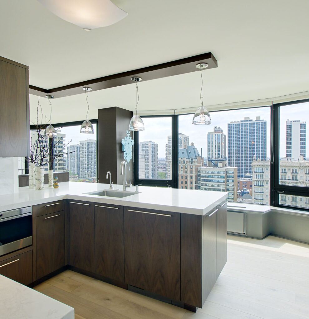 Chicago Gold Coast Renovation - Benvenuti and Stein