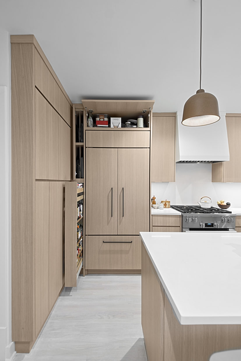 Modern Kitchen Design- Chicago - Benvenuti and Stein